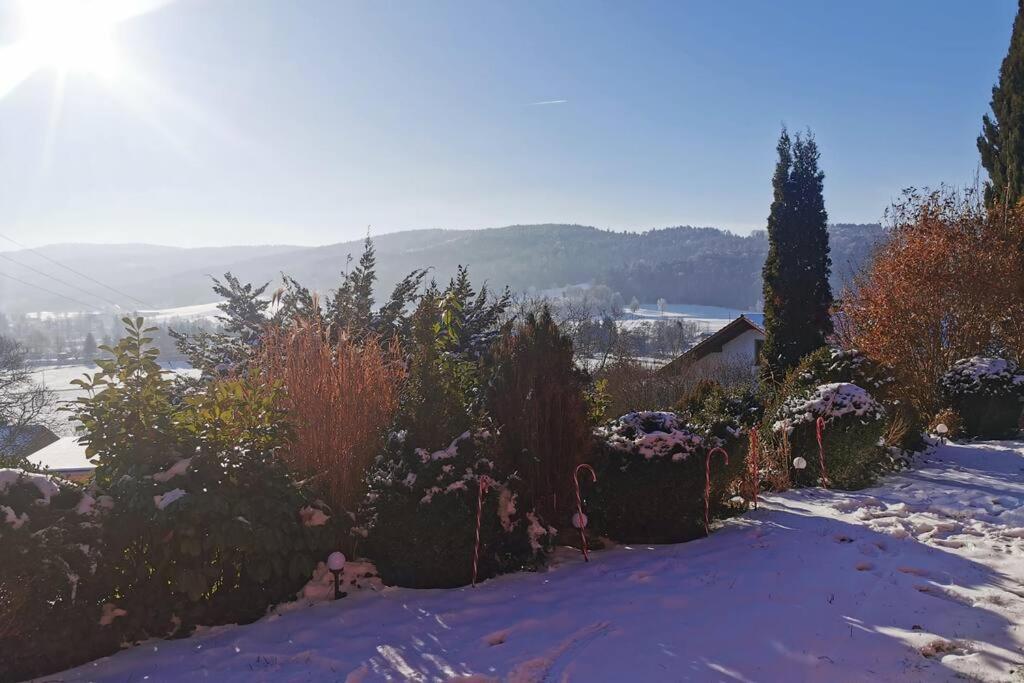 Chalet Bambi Blaibach Luaran gambar
